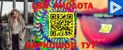 PSILOCYBIN Кулебаки