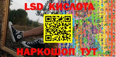 PSILOCYBIN Кулебаки