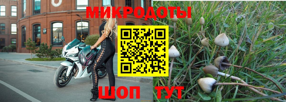 Галлюциногенные грибы GOLDEN TEACHER  Вход с VPN  Зеленогорск 